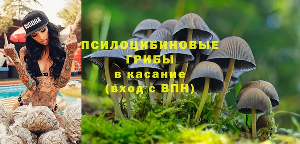 ALPHA PVP Абинск