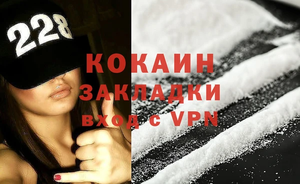 ПСИЛОЦИБИНОВЫЕ ГРИБЫ Инсар