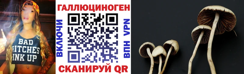 Галлюциногенные грибы MAGIC MUSHROOMS  купить наркотик  Нальчик 