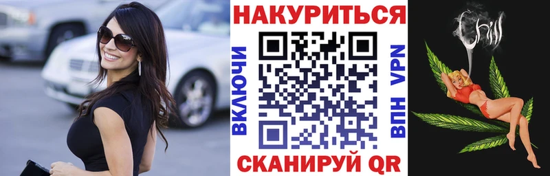 Бошки Шишки планчик Нальчик